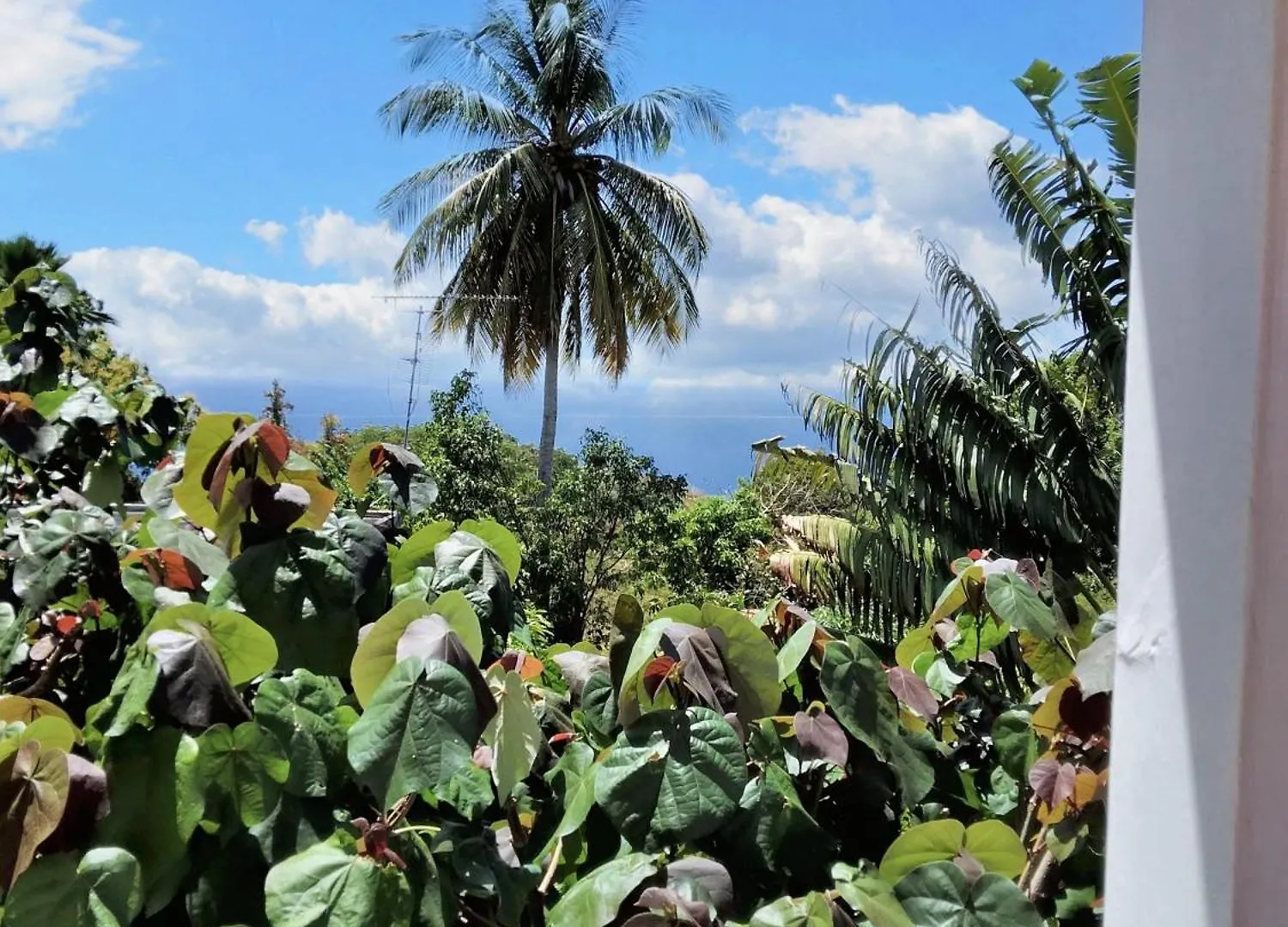 Appartement Studio Lumineux Avec Vue Sur La Mer A Baillif - 45 M² + Terrasse Guadeloupe
