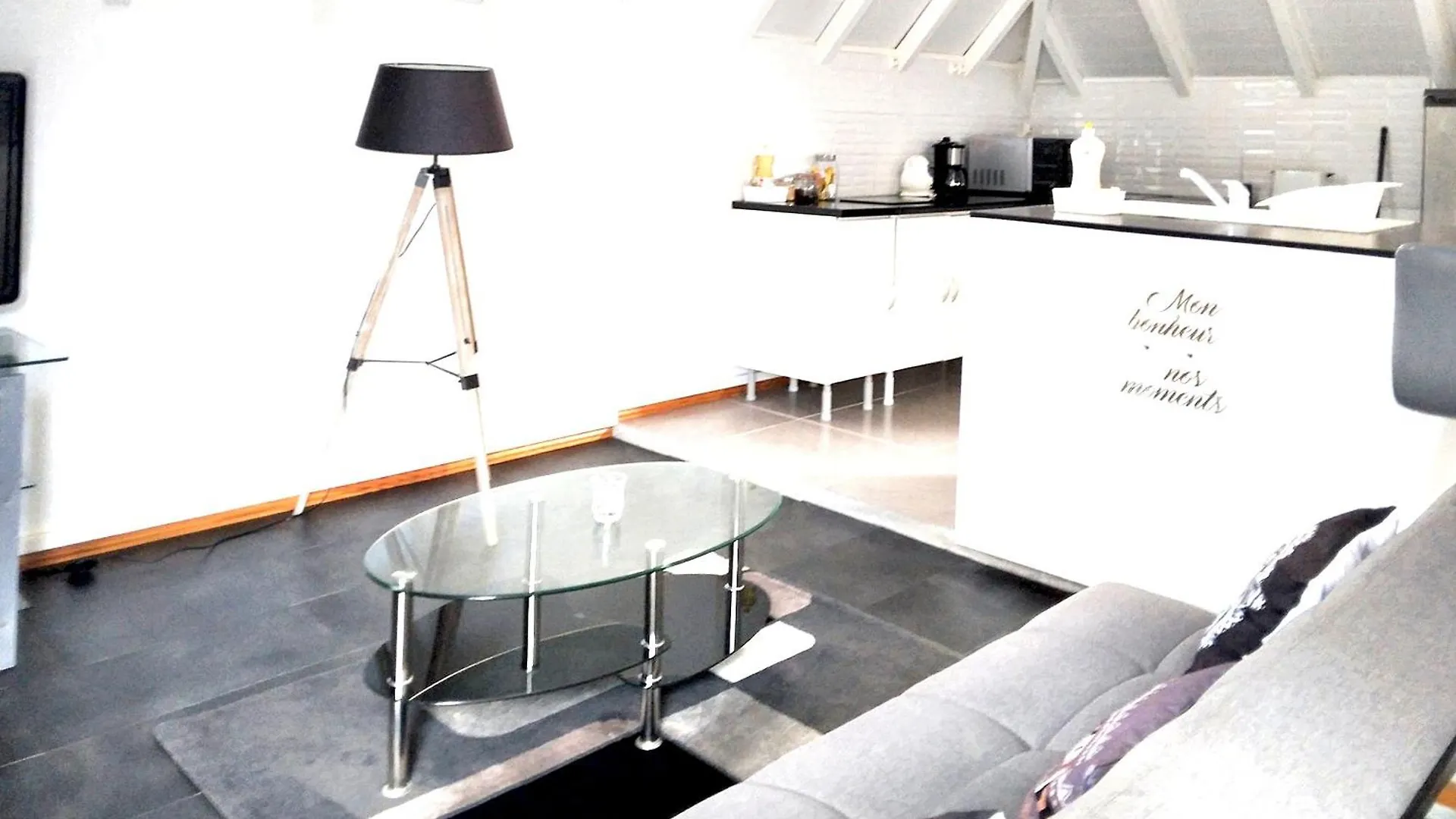 Studio Lumineux Avec Vue Sur La Mer A Baillif - 45 M² + Terrasse Appartement